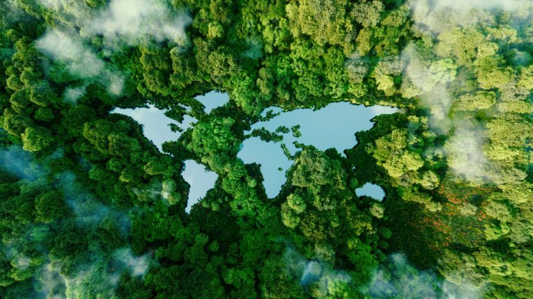 The environment showing a top view of forest with a river between them
